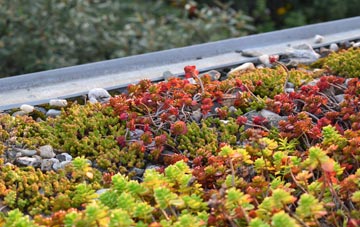 the cost of Over Kiddington green roof installation