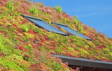 Over Kiddington living roof systems